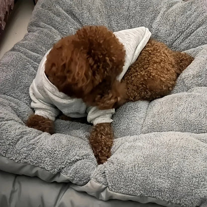 The Cloudbed XL – Extra Large Dog Bed