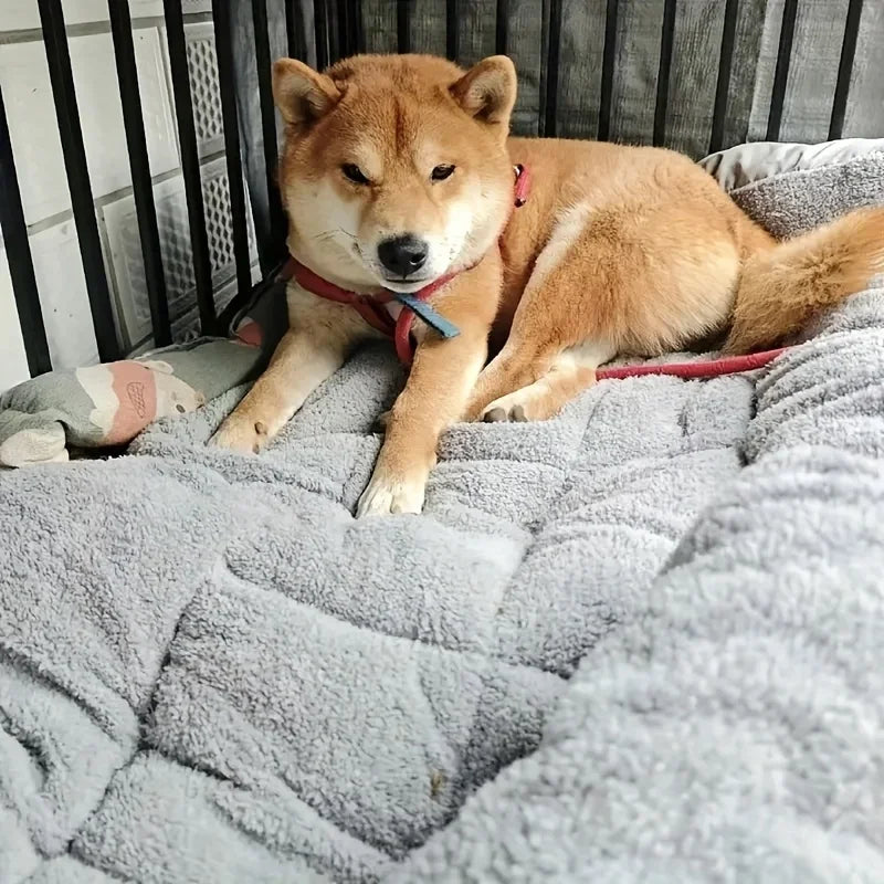 The Cloudbed XL – Extra Large Dog Bed