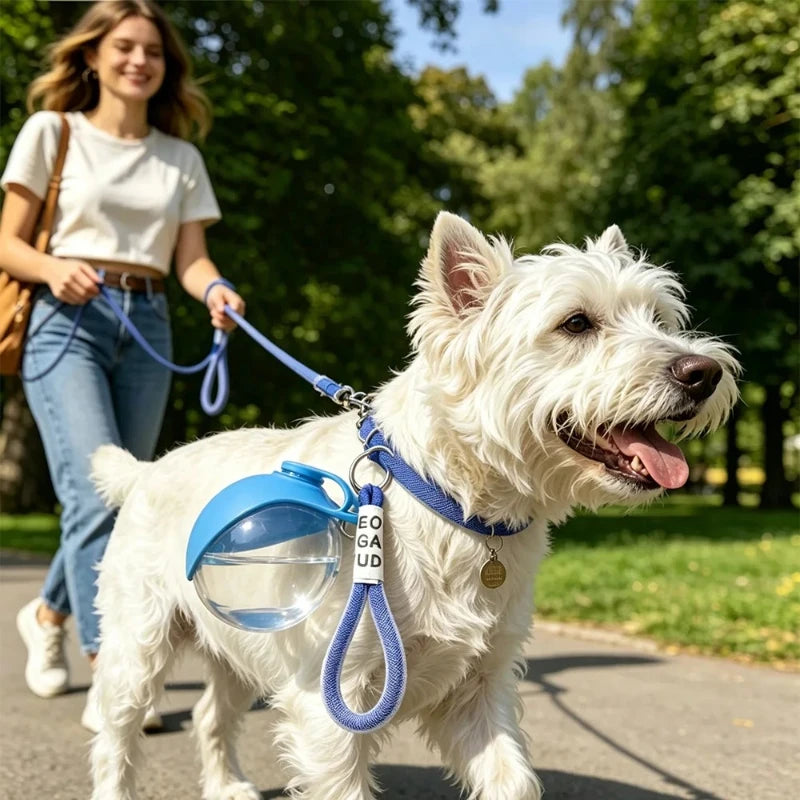 Bebedero Portátil para Perros y Gatos – Dispensador de Agua Plegable para Viajes
