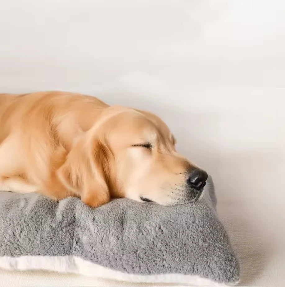 The Cloudbed XL – Extra Large Dog Bed